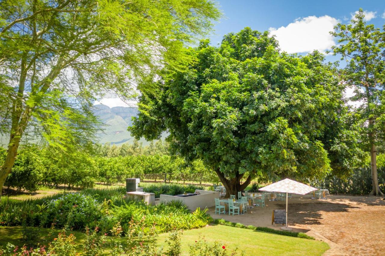 Francines Venue Pty Ltd Bed and Breakfast Hoedspruit Exterior foto